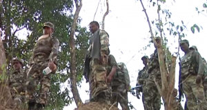 झारखंड के चार जिलों में नक्सलियों के खिलाफ अभियान