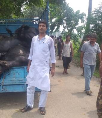 शिवसेना नेता ने पशु तस्करी में शामिल लोगों के खिलाफ कार्रवाई की मांग की