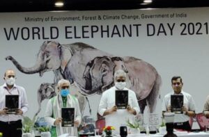 World Elephant Day