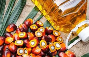 Palm Oil Mission