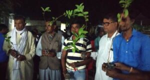 plantation and social celebrations.