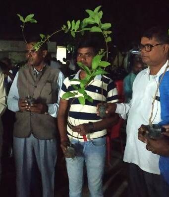 plantation and social celebrations.
