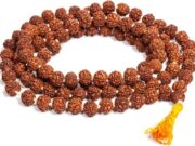 Rudraksha