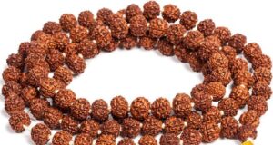 Rudraksha