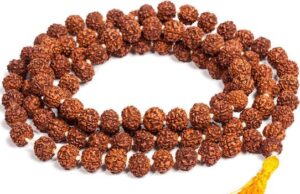 Rudraksha