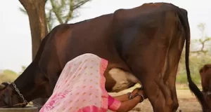 कृषि-में-प्रगति-प्रदेश-में-समृद्धि