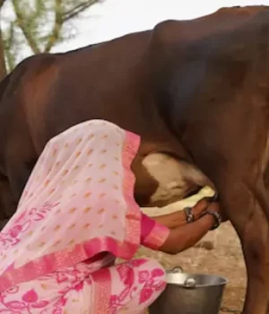 कृषि-में-प्रगति-प्रदेश-में-समृद्धि