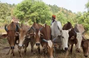 कृषि-में-प्रगति-प्रदेश-में-समृद्धि