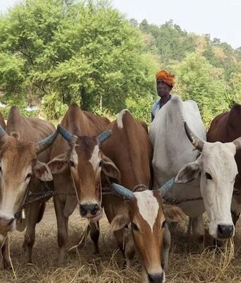 कृषि-में-प्रगति-प्रदेश-में-समृद्धि