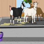 बकरी पालन 2 (1)