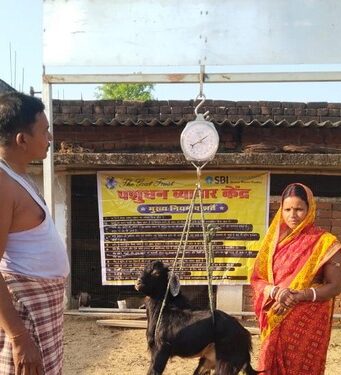 आधी आबादी का दम: ‘पशुसखियां’ बिचौलियों को दे रही मात पशुसखियां