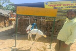 पशुसखियां 3