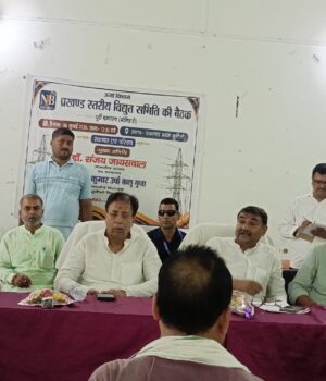 बिजली समस्याओं के शीघ्र समाधान का निर्देश