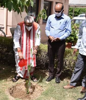 कोविड:कर्तव्य पालन में जान गंवाने वाले चिकित्सकों की याद में मंत्रालय में पौधारोपण