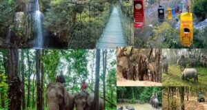 Eco tourism