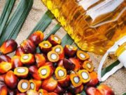 Palm Oil Mission