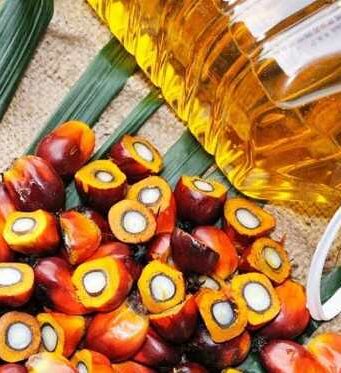Palm Oil Mission