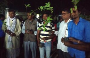 plantation and social celebrations.