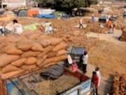 paddy procurement