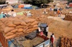 paddy procurement