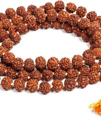 Rudraksha