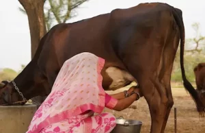 कृषि-में-प्रगति-प्रदेश-में-समृद्धि