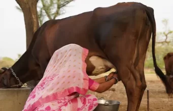 कृषि-में-प्रगति-प्रदेश-में-समृद्धि
