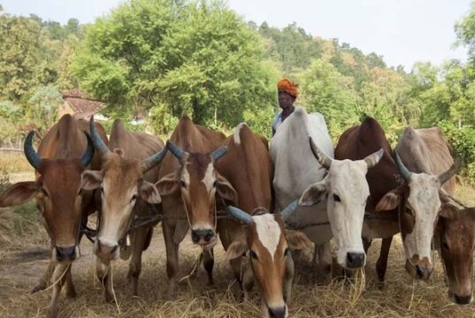 कृषि-में-प्रगति-प्रदेश-में-समृद्धि