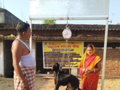 पशुसखियां