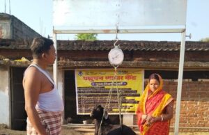 पशुसखियां