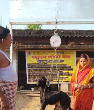 पशुसखियां