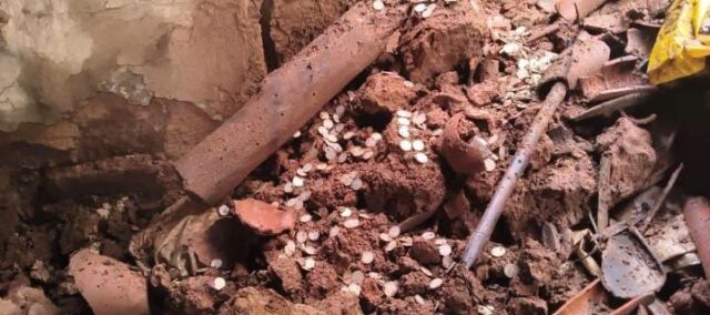IMG-20260808-WA0008